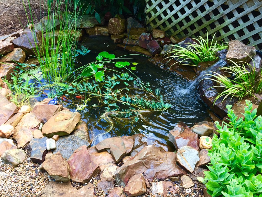 A “Gold”en Lesson