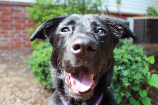 20156097_10156567028134498_8642358713579411436_n