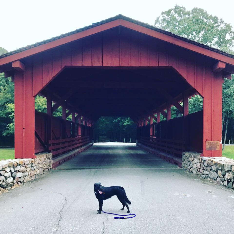 20768223_10156660038809498_2615867958730570268_n