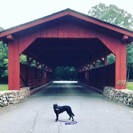 20768223_10156660038809498_2615867958730570268_n