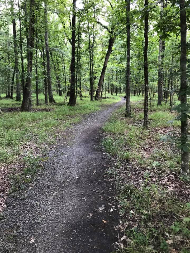 20842160_10156660039009498_2298290410111799288_n